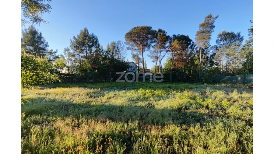 Terreno para Venda em Faíl e Vila Chã de Sá Foto 9