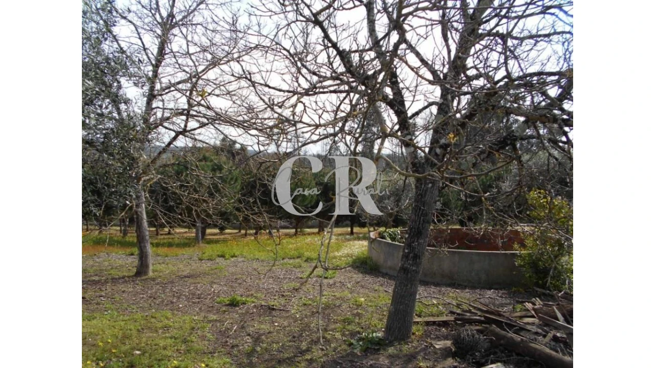 Quinta T5 para Venda em Pousaflores Foto 66