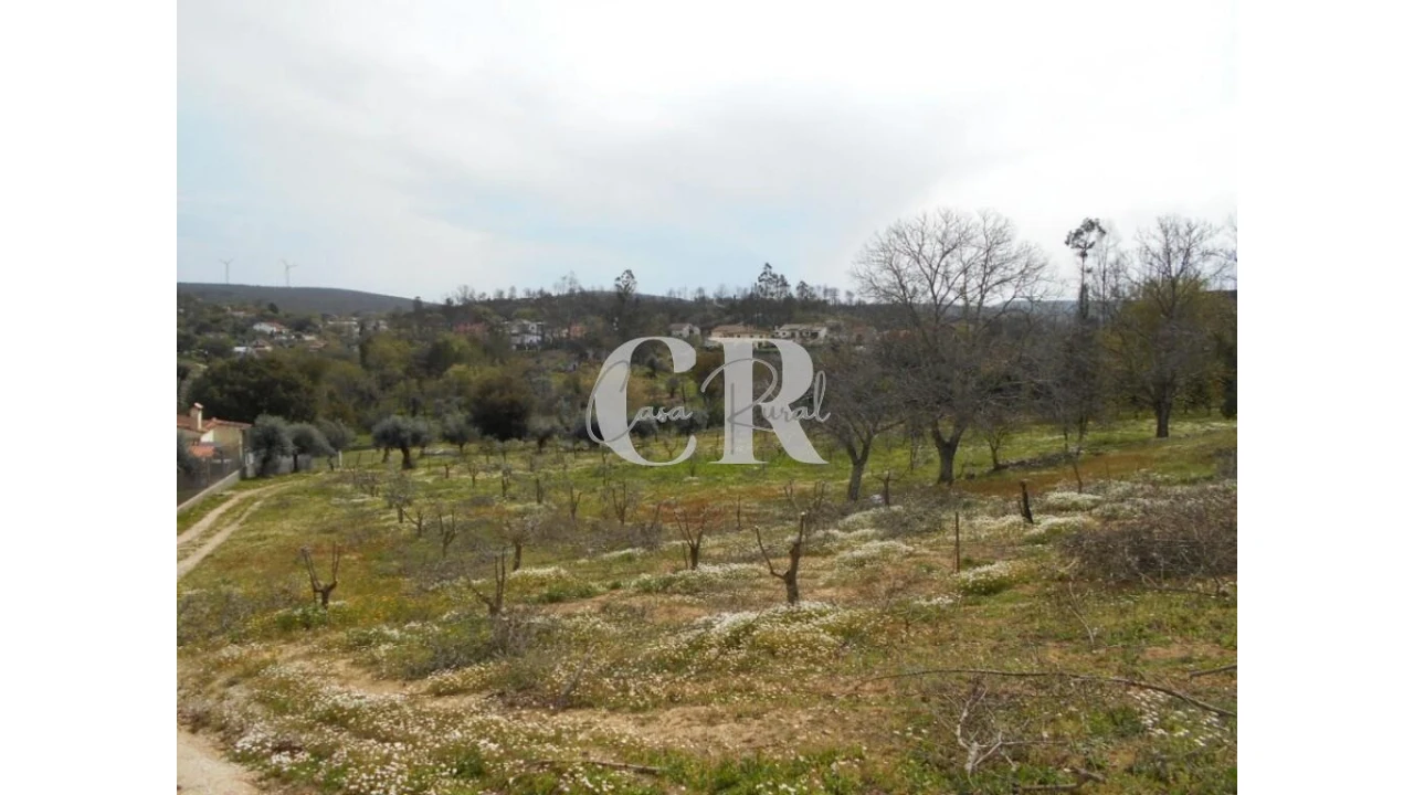 Quinta T5 para Venda em Pousaflores Foto 64