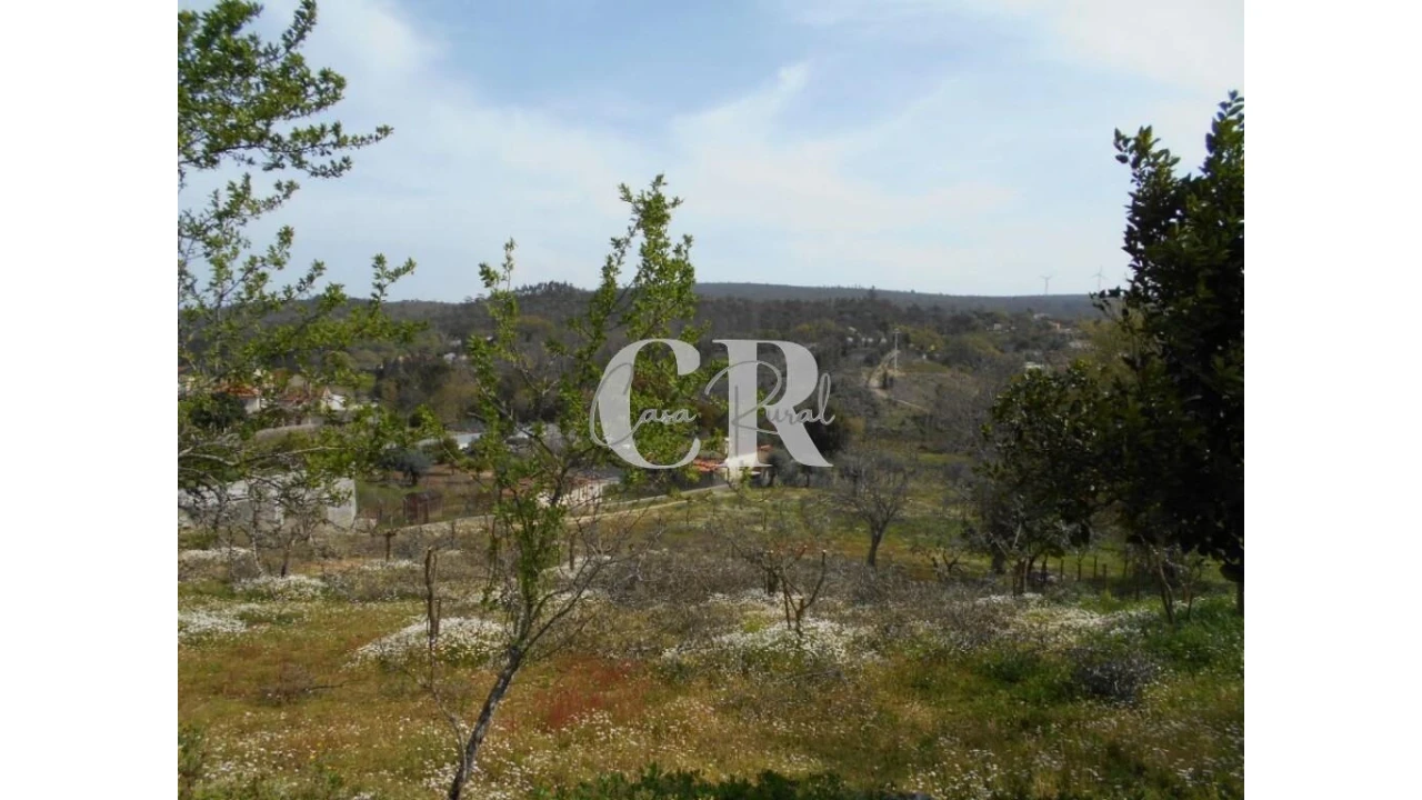 Quinta T5 para Venda em Pousaflores Foto 67