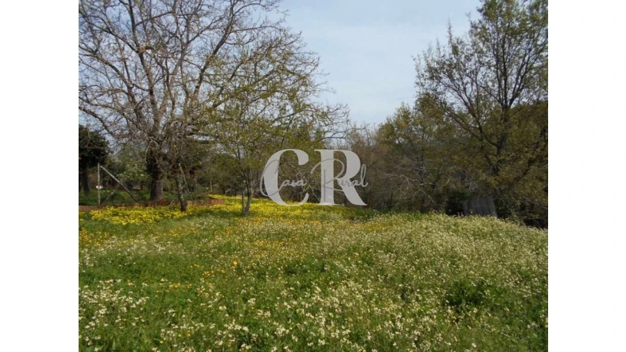 Quinta T5 para Venda em Pousaflores Foto 59