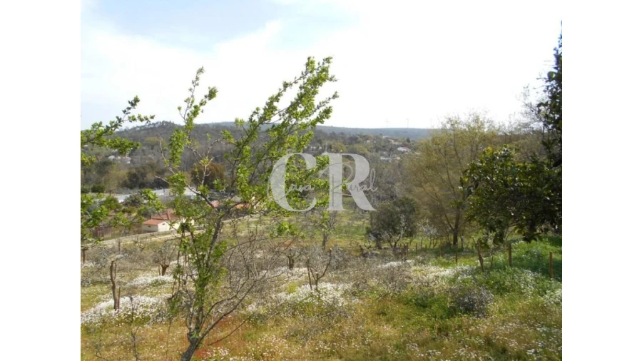 Quinta T5 para Venda em Pousaflores Foto 58