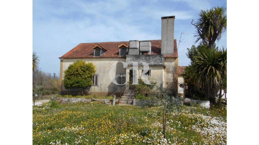 Quinta T5 para Venda em Pousaflores Foto 5