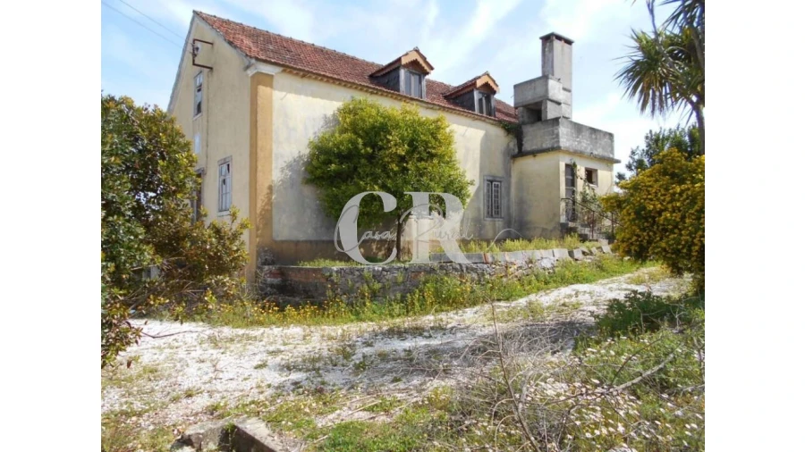 Quinta T5 para Venda em Pousaflores Foto 4