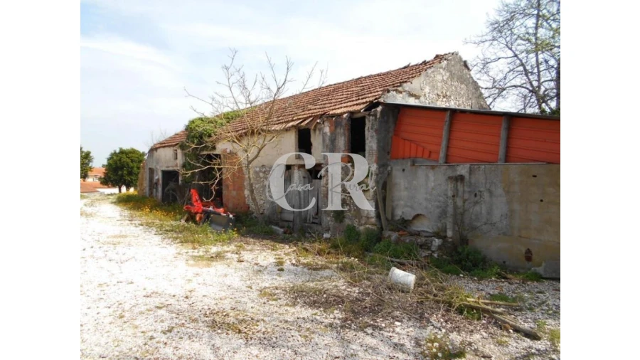 Quinta T5 para Venda em Pousaflores Foto 52