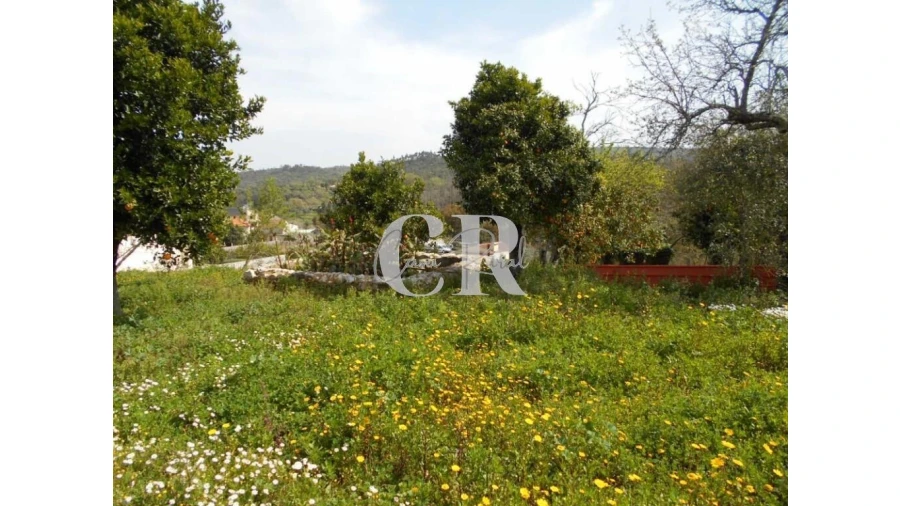 Quinta T5 para Venda em Pousaflores Foto 57