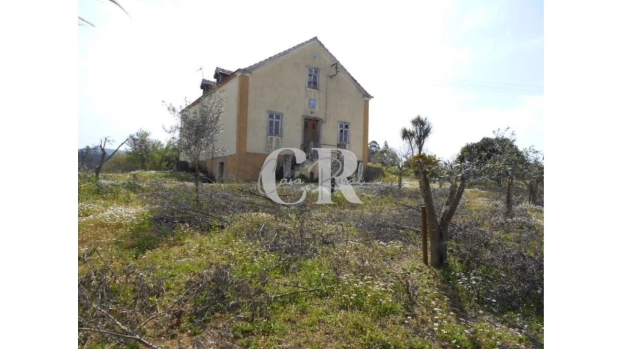 Quinta T5 para Venda em Pousaflores Foto 2