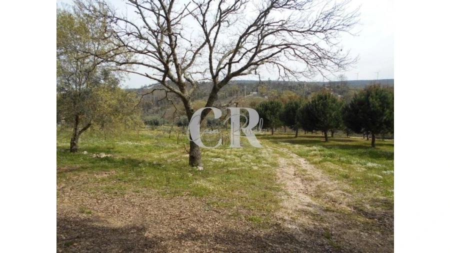 Quinta T5 para Venda em Pousaflores Foto 60