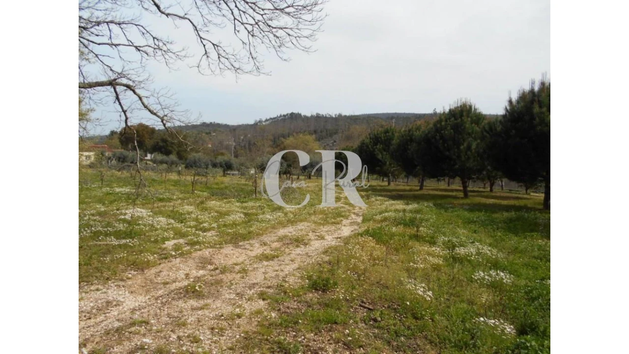 Quinta T5 para Venda em Pousaflores Foto 63