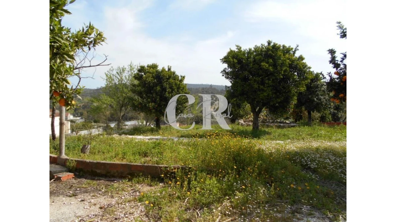 Quinta T5 para Venda em Pousaflores Foto 56