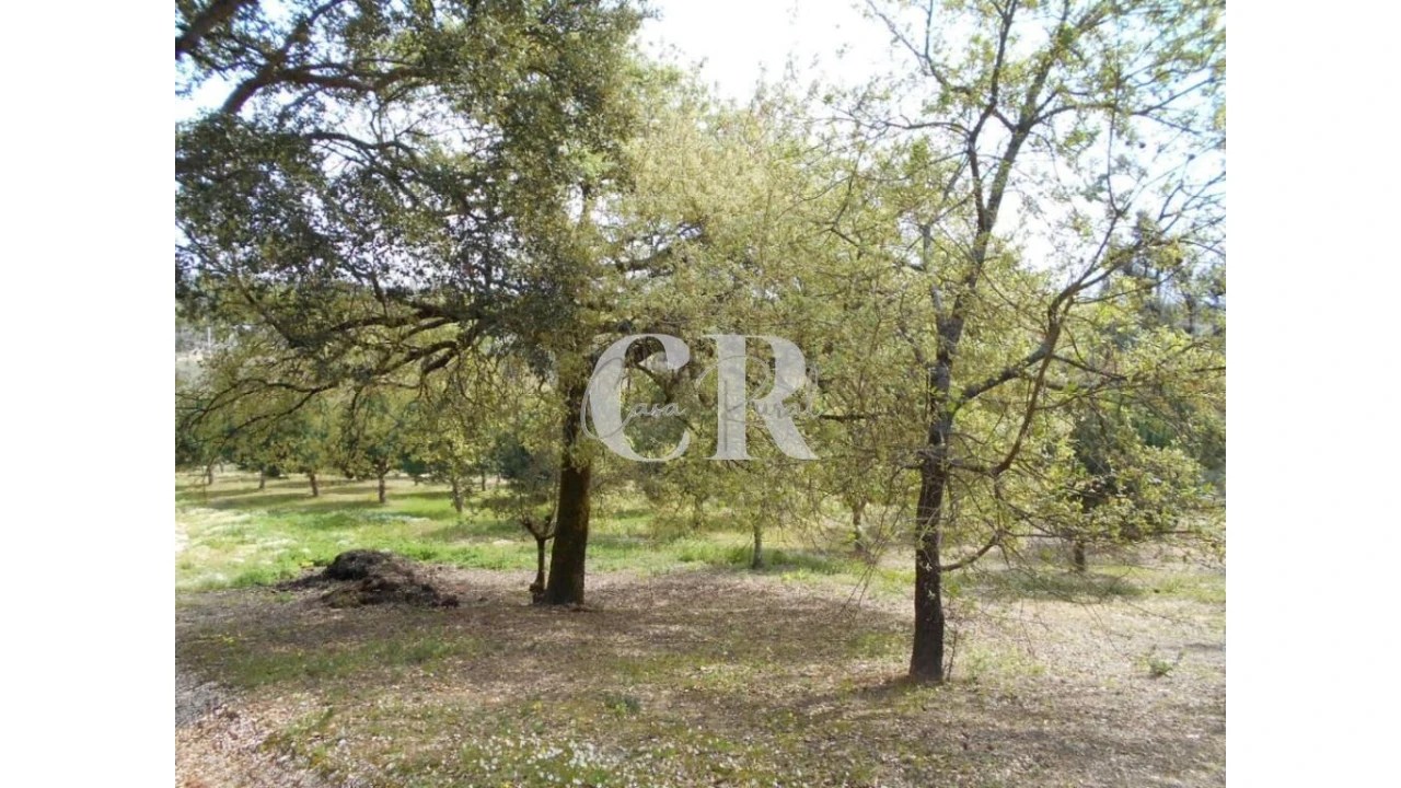 Quinta T5 para Venda em Pousaflores Foto 62