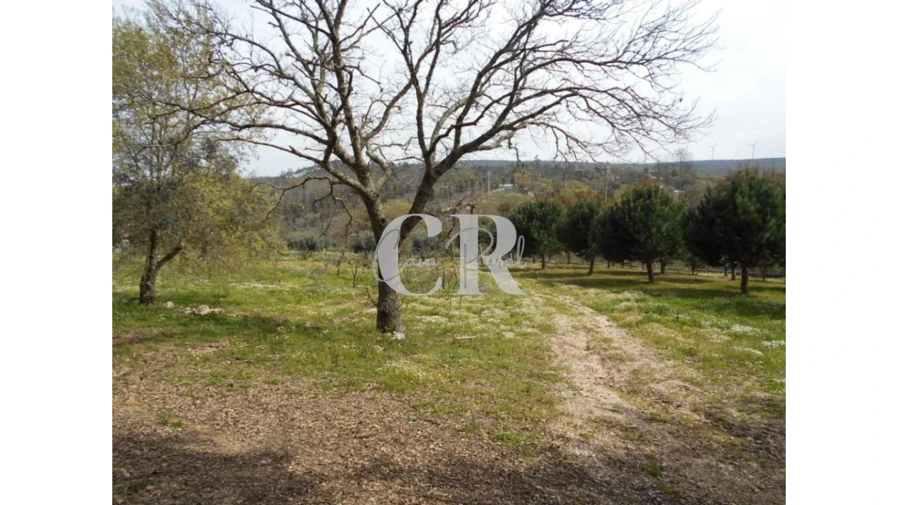 Quinta T5 para Venda em Pousaflores Foto 60