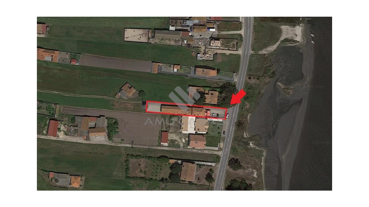 Negócio para Arrendamento em Torreira Foto 24