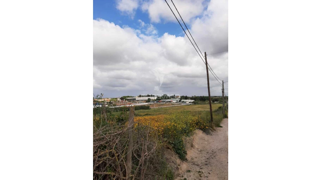Terreno para Venda em Vila Chã de Ourique Foto 14