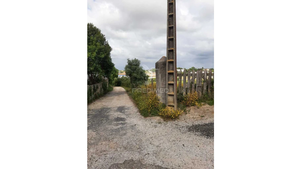 Terreno para Venda em Vila Chã de Ourique Foto 16