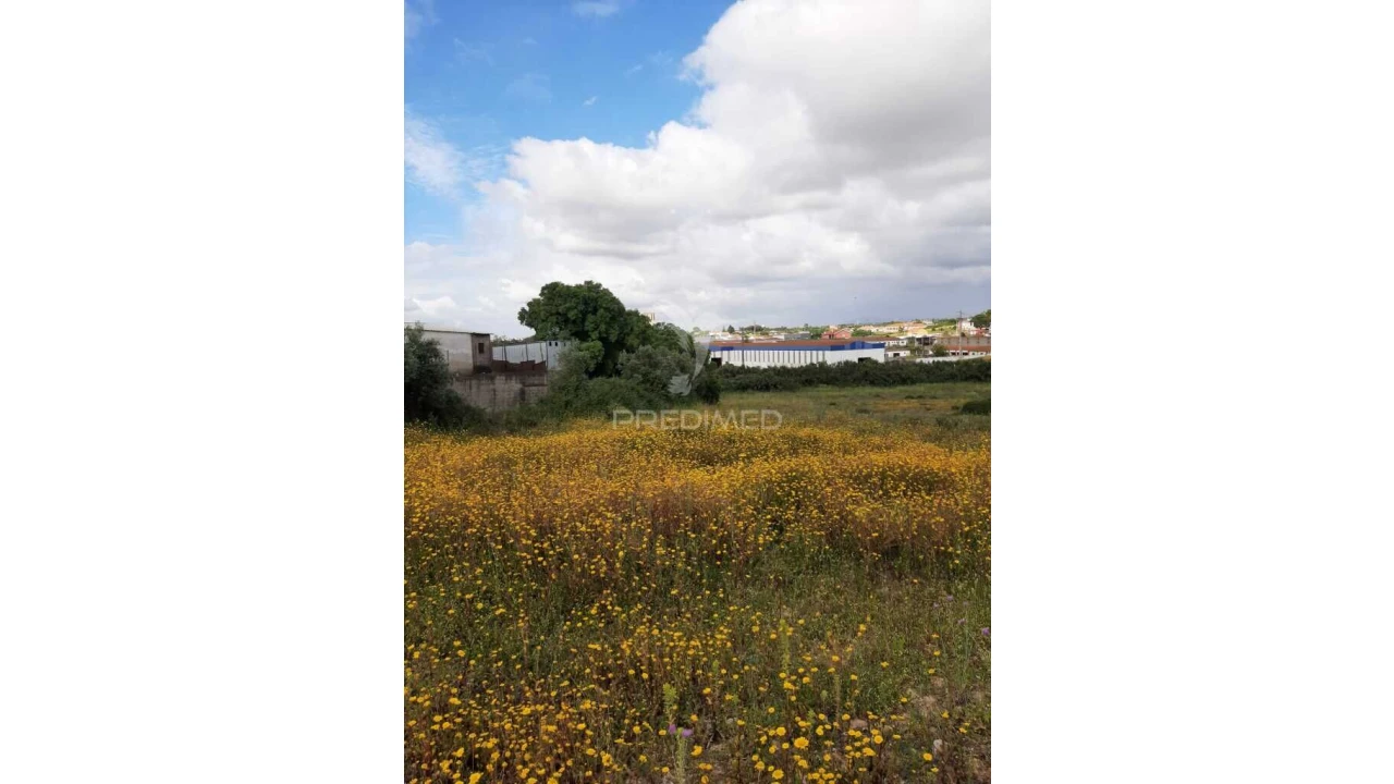 Terreno para Venda em Vila Chã de Ourique Foto 19