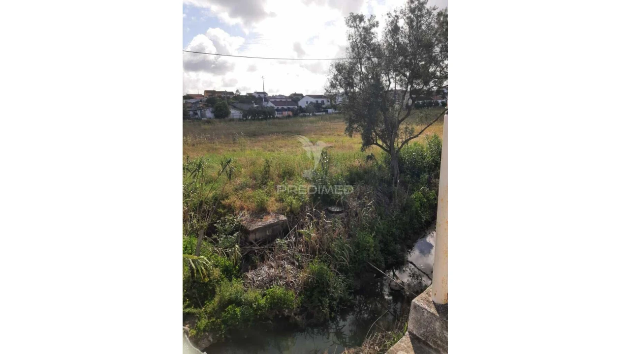 Terreno para Venda em Vila Chã de Ourique Foto 11
