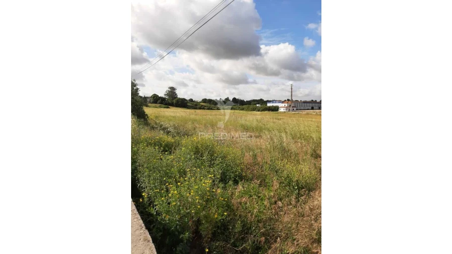 Terreno para Venda em Vila Chã de Ourique Foto 2