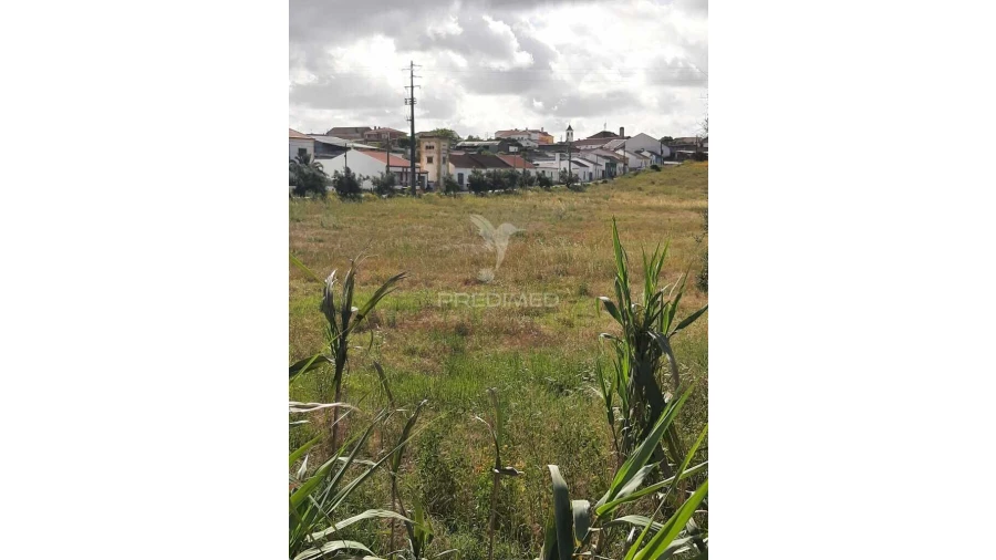Terreno para Venda em Vila Chã de Ourique Foto 9