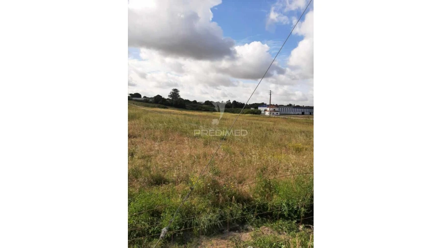 Terreno para Venda em Vila Chã de Ourique Foto 6