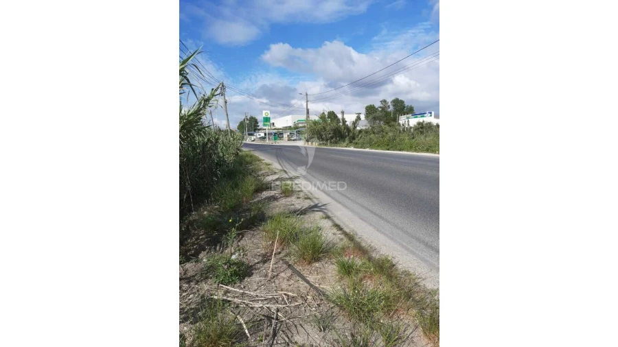Terreno para Venda em Vila Chã de Ourique Foto 10