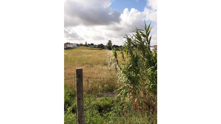Terreno para Venda em Vila Chã de Ourique Foto 8