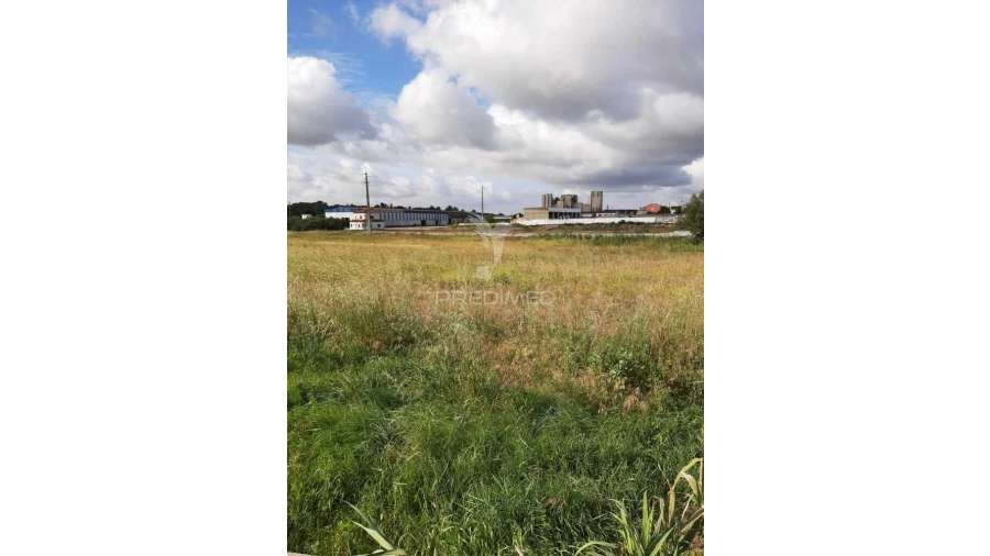 Terreno para Venda em Vila Chã de Ourique Foto 4
