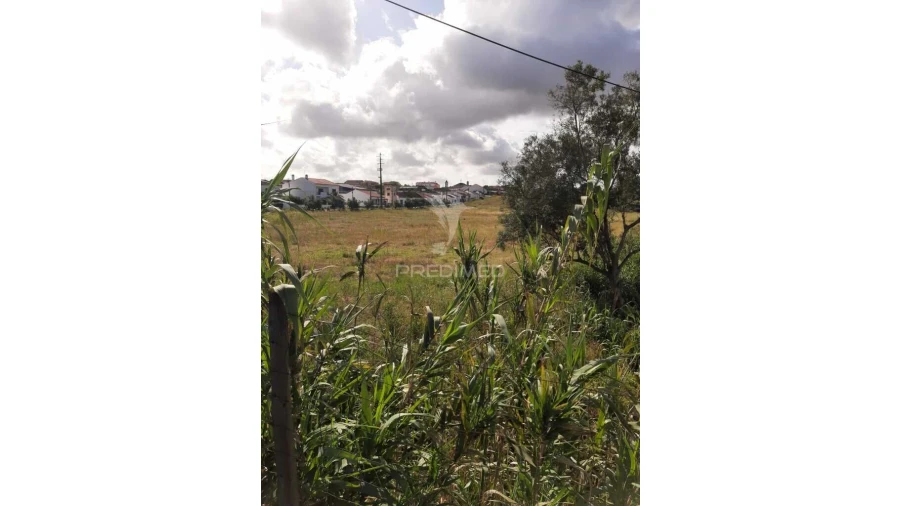 Terreno para Venda em Vila Chã de Ourique Foto 7