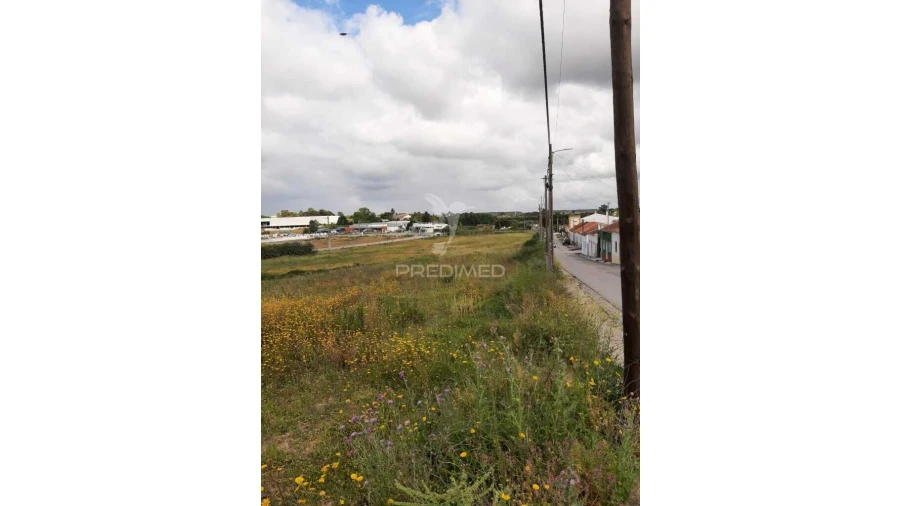 Terreno para Venda em Vila Chã de Ourique Foto 15