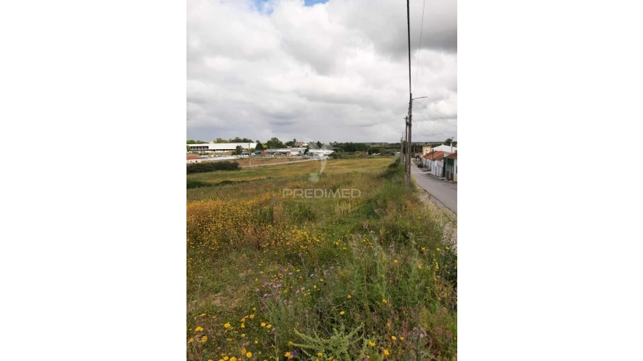 Terreno para Venda em Vila Chã de Ourique Foto 20