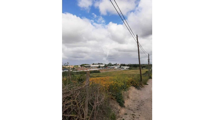 Terreno para Venda em Vila Chã de Ourique Foto 14