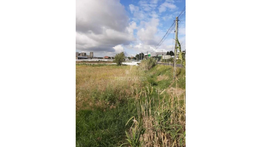 Terreno para Venda em Vila Chã de Ourique Foto 3