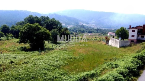Terreno para Venda em Ossela