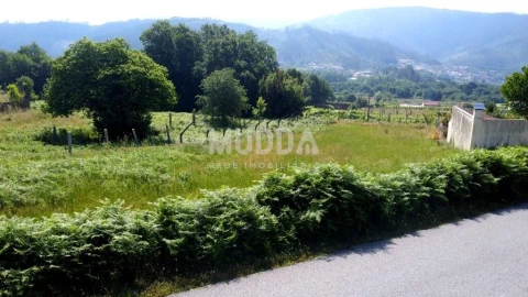 Terreno para Venda em Ossela