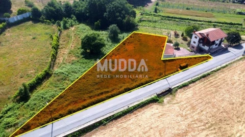 Terreno para Venda em Ossela