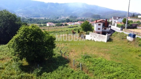 Terreno para Venda em Ossela