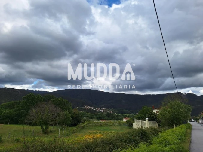 Terreno para Venda em Ossela Foto 1