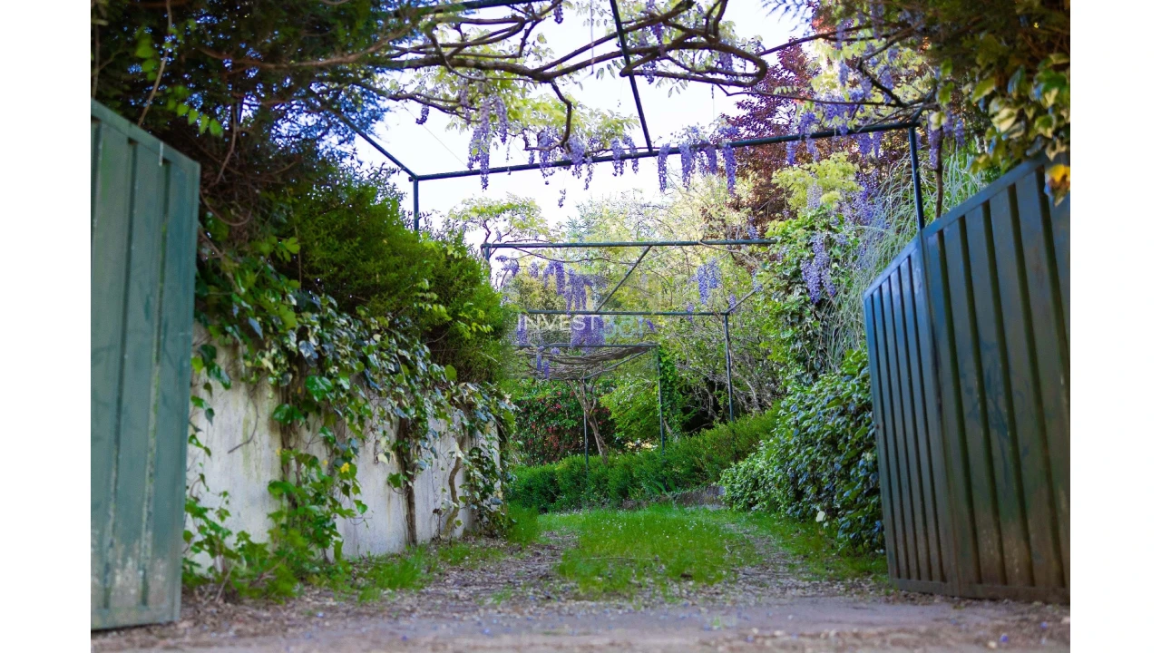 Moradia T4 para Venda em Coura Foto 46