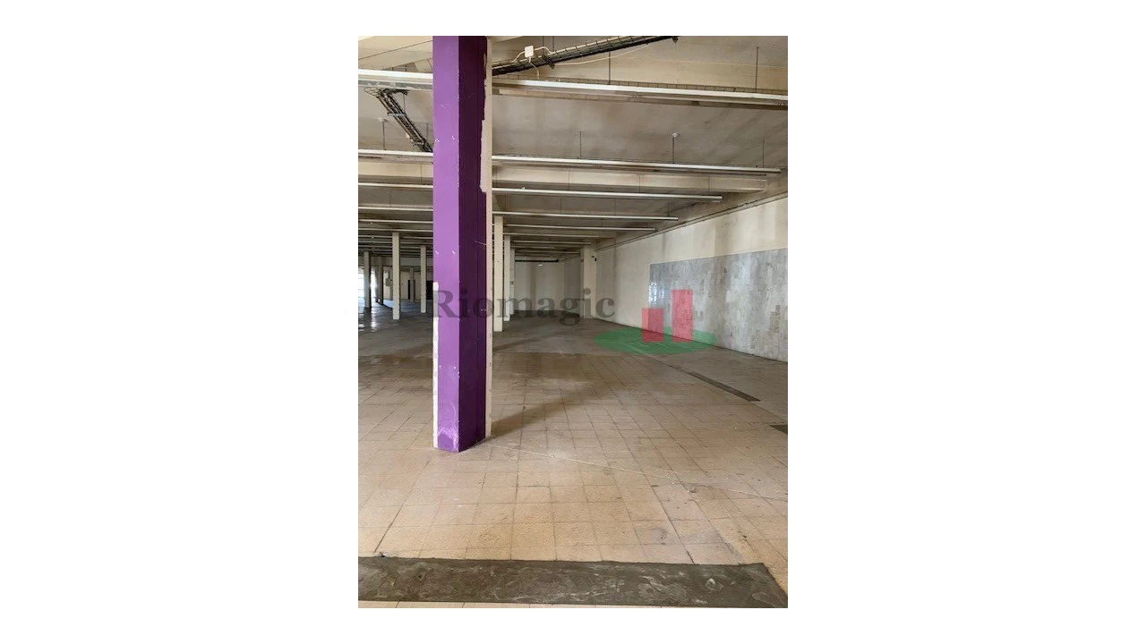 Loja para Arrendamento em Marinha Grande Foto 4