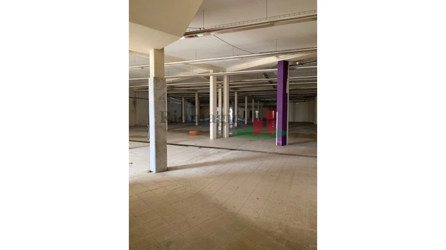 Loja para Arrendamento em Marinha Grande Foto 4