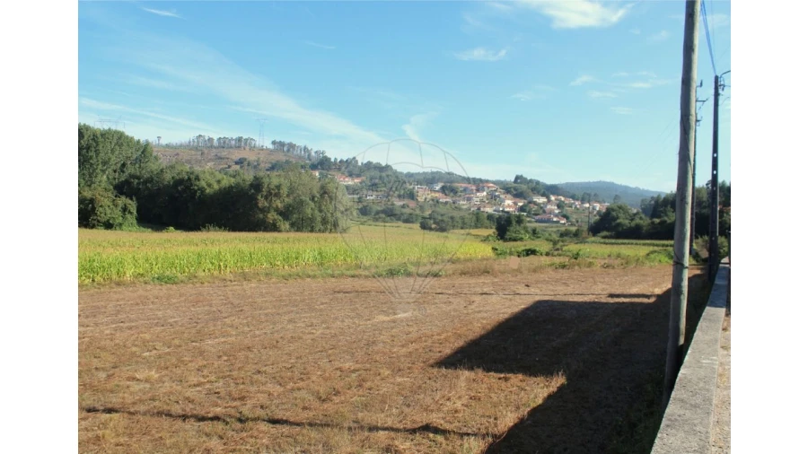 Terreno para Venda em Penamaior Foto 4