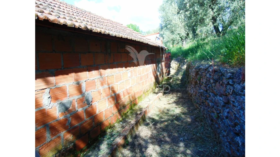 Moradia T4 para Venda em Abaças Foto 18