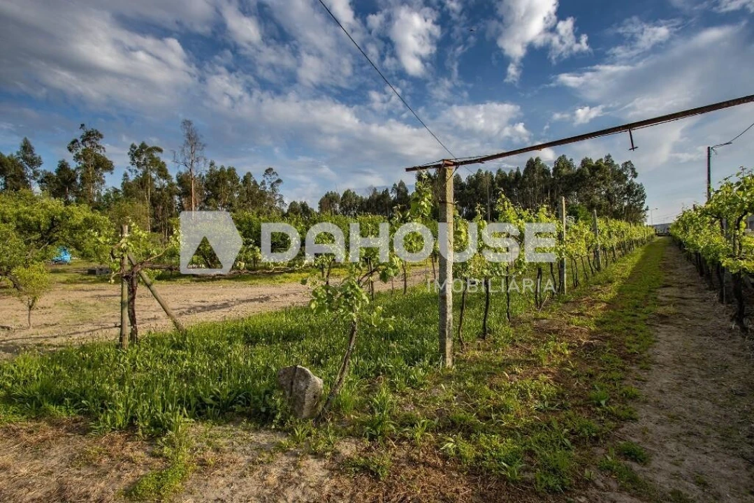 Terreno para Venda em Briteiros São Salvador e Briteiros Santa Leocádia Foto 23