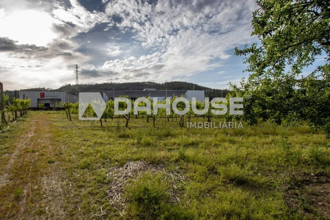 Terreno para Venda em Briteiros São Salvador e Briteiros Santa Leocádia Foto 14