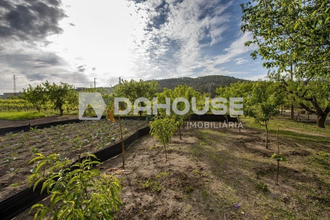 Terreno para Venda em Briteiros São Salvador e Briteiros Santa Leocádia Foto 2