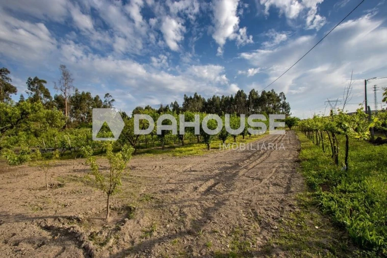Terreno para Venda em Briteiros São Salvador e Briteiros Santa Leocádia Foto 24