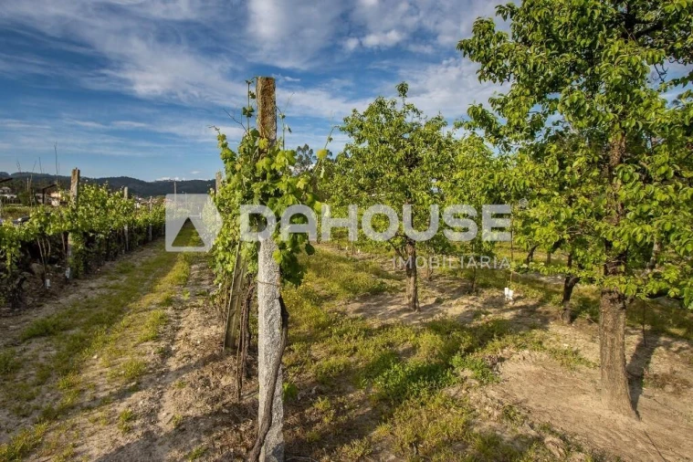 Terreno para Venda em Briteiros São Salvador e Briteiros Santa Leocádia Foto 19