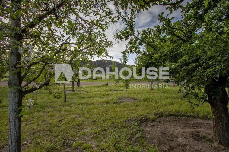 Terreno para Venda em Briteiros São Salvador e Briteiros Santa Leocádia Foto 8