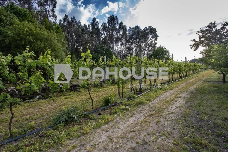Terreno para Venda em Briteiros São Salvador e Briteiros Santa Leocádia Foto 12