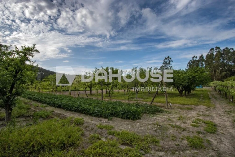 Terreno para Venda em Briteiros São Salvador e Briteiros Santa Leocádia